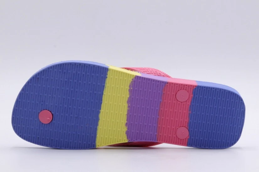 Havaianas Brasil Tech Unisex Σαγιονάρες Πολύχρωμες