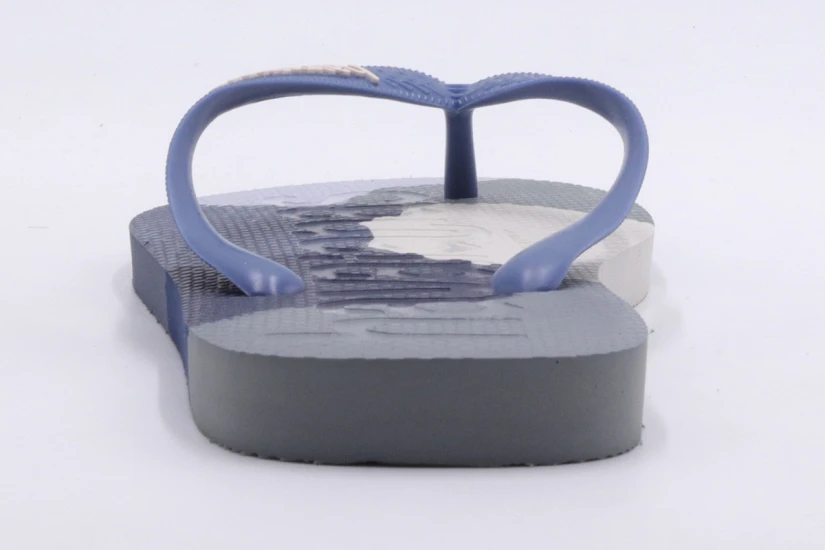 Havaianas Top Logomania Colors II Unisex Σαγιονάρες Πολύχρωμες