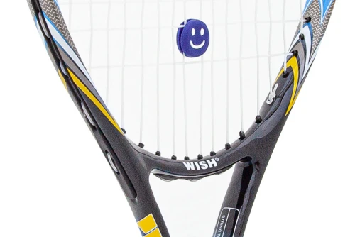 Amila Ρακετά Tennis Wish Fusiontec 300 (42031)