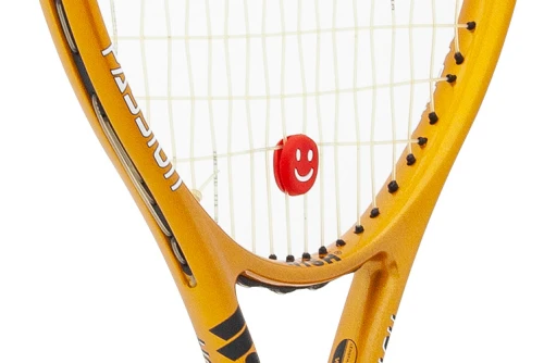 Amila Ρακέτα Tennis Wish Hot Melt 6300 (42049)