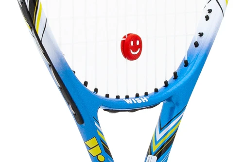 Amila Ρακέτα Tennis Wish Fusiontec 590 (42058)
