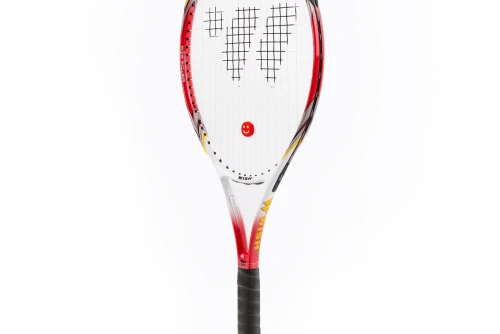 Amila Ρακέτα Tennis Wish Fusiontec 300 Γραφίτη Αλουμινίου (42065)