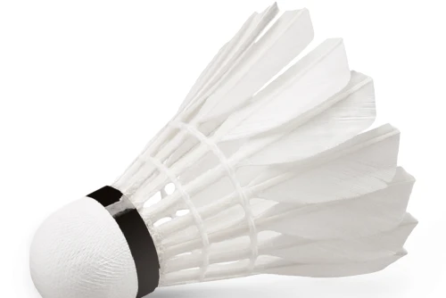 Amila Μπαλάκια Badminton Feather Shuttlecock W-09 12 Τμχ. (42078)