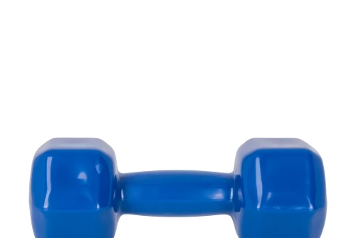 Amila Amila Vinyl Dumbbell 6Kg (44120)