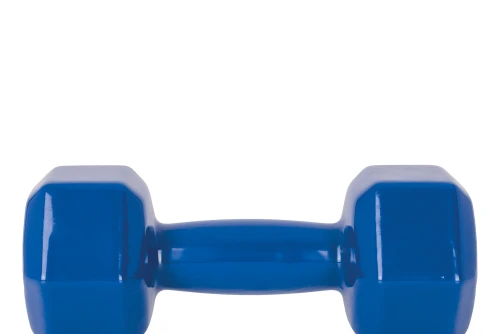 Amila Amila Vinyl Dumbbell 9Kg (44123)