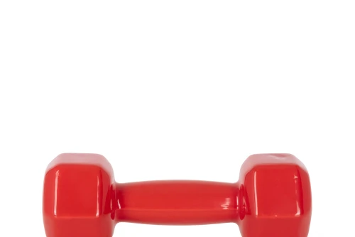 Amila Amila Vinyl Dumbbell 3Kg (44493)