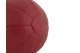 Amila Μπάλα Amila Medicine Ball Pu 1Kg (44511)