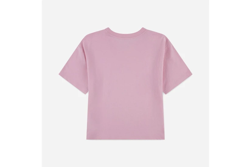 Jordan Brooklyn Essentials Embroidered Παιδικό Κοντομάνικο T-Shirt Ροζ