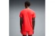 Puma Velocity Ανδρικό Κοντομάνικο T-Shirt Κοραλλί