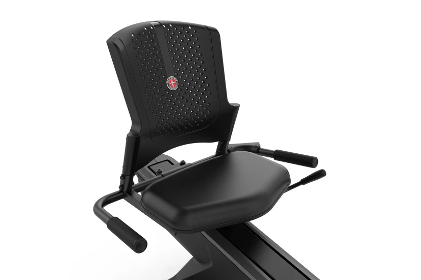 Johnson Schwinn 590R Καθιστο Ποδηλατο (590R)