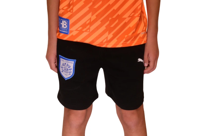Pas Giannina Fc Team Goal23 Casuals Shorts Jr Βερμούδα Αθλητική (656712 03 PAS)