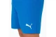 Puma Teamrise Ανδρικό Αθλητικό Σορτς Ρουά