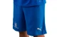 Pas Giannina Fc Teamrise Short Jr Σορτς Αθλητικό