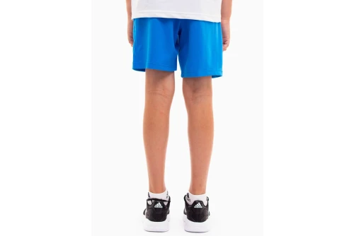 Puma Teamrise  Jr Σορτς Αθλητικό (704943 02)