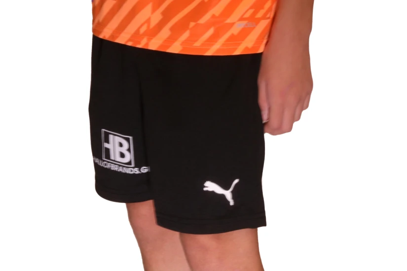 Pas Giannina Fc Teamrise Short Jr Σορτς Αθλητικό