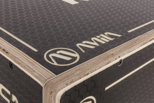 Amila Πλειομετρικό Κουτί Plyo Box Raw Tempo 50X60X75 Cm - Μαύρο (84561)