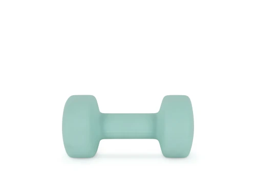 Amila Amila Neoprene Dumbbell 6Kg (90516)