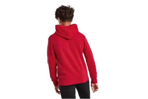 Jordan Fleece Hoodie (95C479 R78)