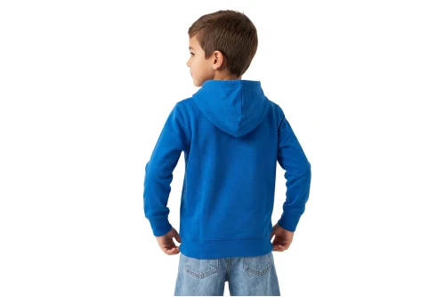 Jordan Brooklyn Fleece Hoodie (95D232 U5H)
