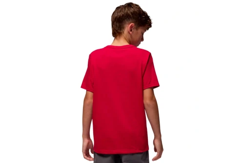 Jordan Dri-Fit Sport Core T-Shirt (95D618 R78)