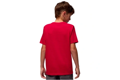 Jordan Dri-Fit Sport Core T-Shirt (95D618 R78)