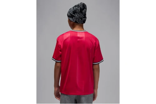 Jordan Sport Jersey T-Shirt (95F217 R78)