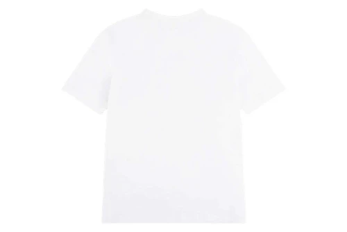 Jordan Brand Secret T-Shirt (95F629 001)