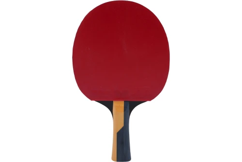 Amila Ρακέτα Ping Pong Butterfly Timo Boll Carbon (97167)