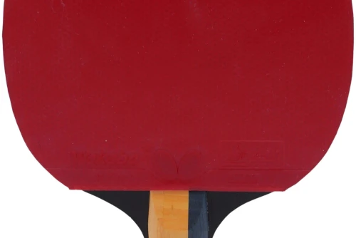 Amila Ρακέτα Ping Pong Butterfly Timo Boll Carbon (97167)