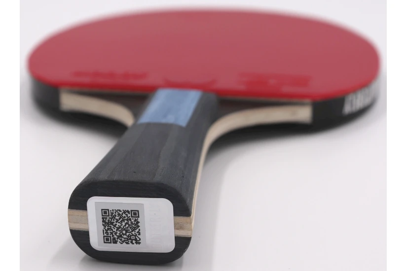 Amila Ρακέτα Ping Pong Butterfly Dimitrij Ovtcharov Sapphire (97168)