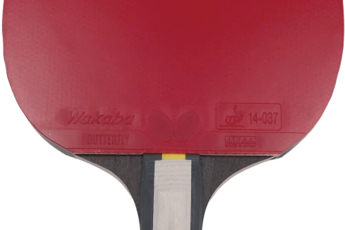 Amila Ρακέτα Ping Pong Butterfly Dimitrij Ovtcharov Diamond (97170)