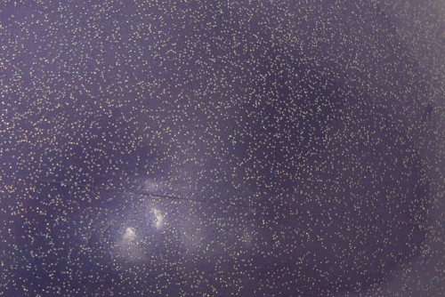 Amila Μπάλα Ρυθμικής Γυμναστικής 19Cm Fig Approved, Μωβ Με Strass (98937)