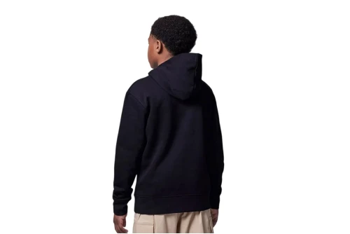 Jordan Brooklyn Fleece Hoodie (9BD232 023)