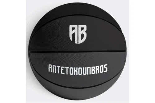 Antetokounbros Shades Size 7 Μπάλα Μπάσκετ (ACXF162030 013)