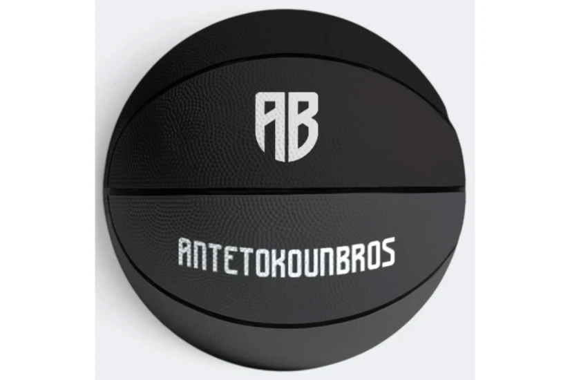 Antetokounbros Shades Size 7 Μπάλα Μπάσκετ (ACXF162030 013)