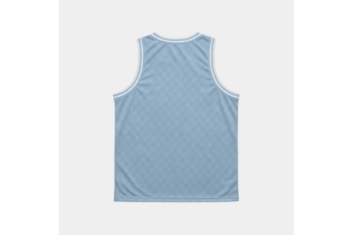 Antetokounbros Basketball Jersey Μπλούζα Αμάνικη (APCD162K42 CIEL FOG)