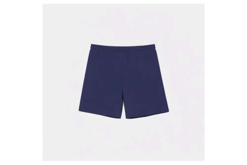 Antetokounbros Retro Βερμούδα Αθλητική Ανδρική (APCD162M15B RETRO BLUE)