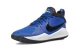 Nike Team Hustle D 9 Gs (AQ4224 400)