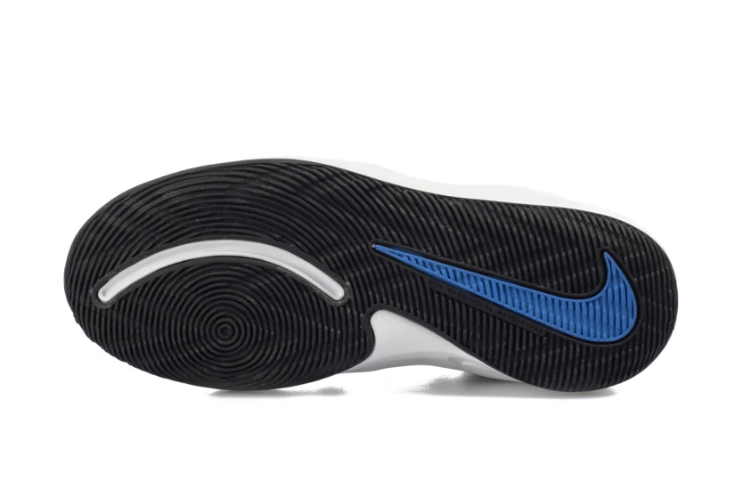 Nike Team Hustle D 9 Gs (AQ4224 400)
