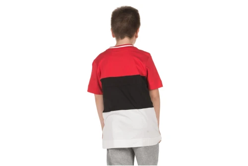 Nike Air T-Shirt (AQ9506 657)