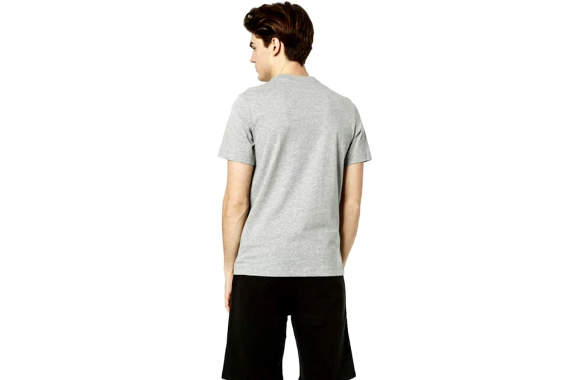 Nike Ανδρικό Κοντομάνικο T-Shirt Γκρι (AR5006 063)