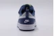 Nike Court Borough Low 2 Psv Sneaker (BQ5451 016)