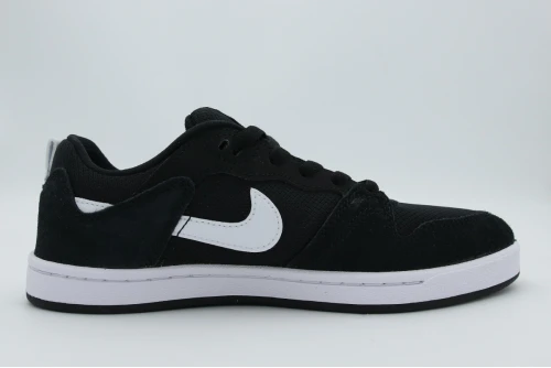 Nike Sb Alleyoop Sneakers (CJ0883 001)