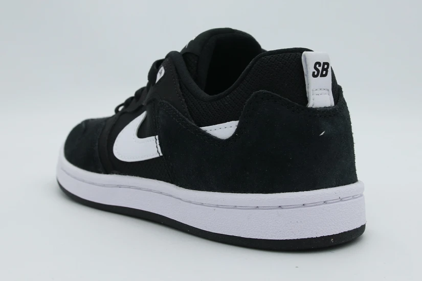 Nike Sb Alleyoop Sneakers (CJ0883 001)