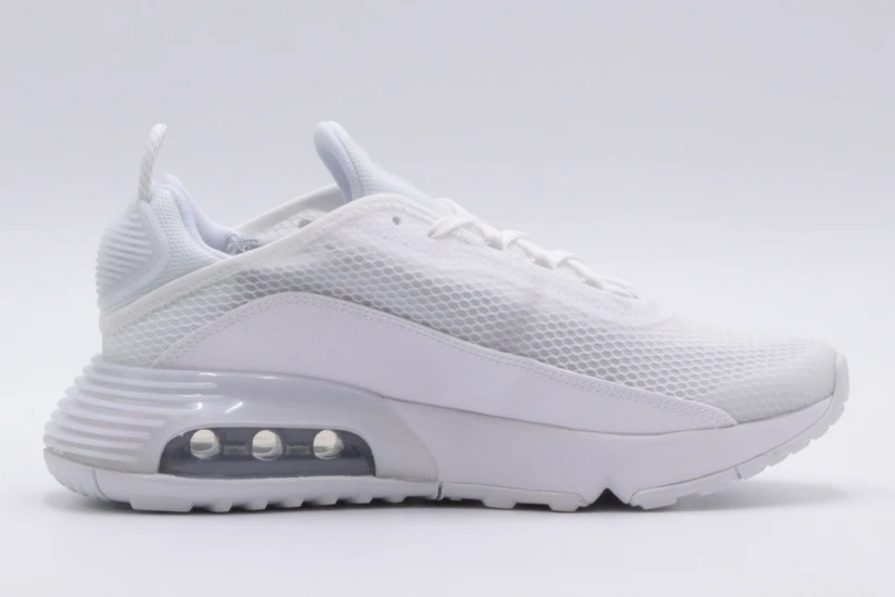 Nike Air Max 2090 Gs (CJ4066 102)