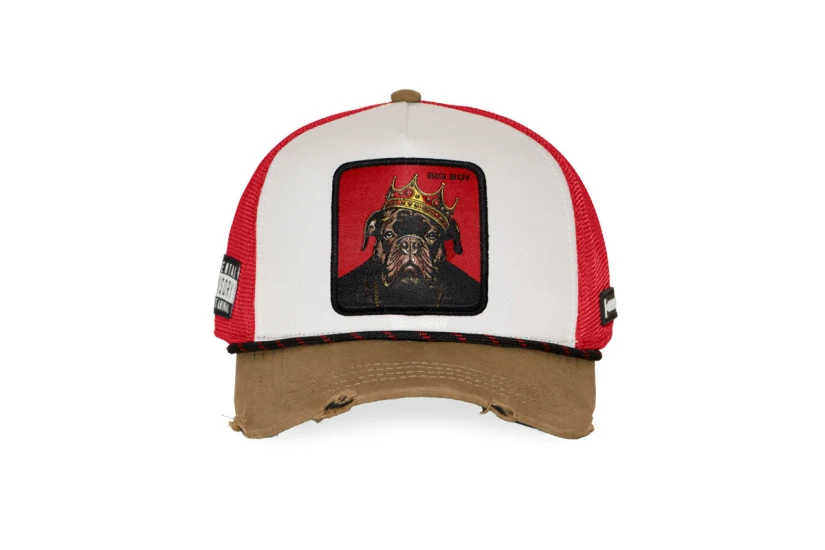 Capslab Trucker Καπέλο Snapback Κόκκινο, Λευκό, Καφέ