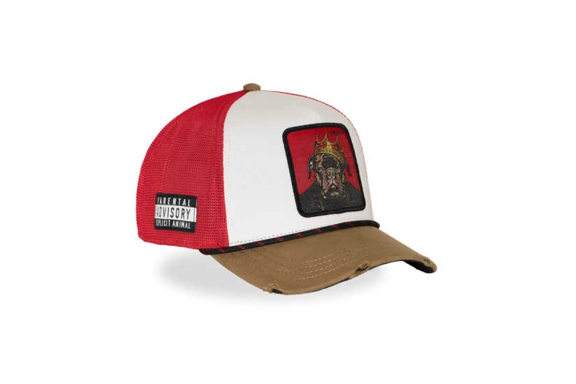 Capslab Trucker Καπέλο Snapback Κόκκινο, Λευκό, Καφέ