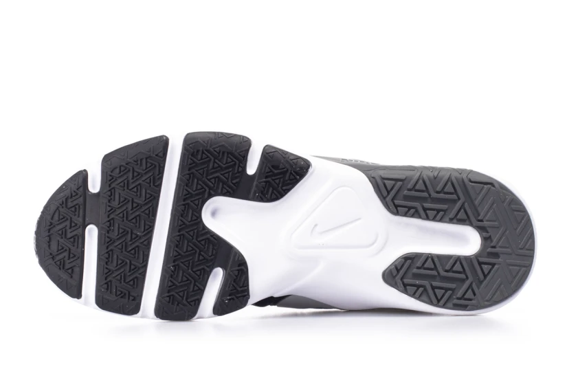 Nike Nike Legend Essential 2 (CQ9356 014)