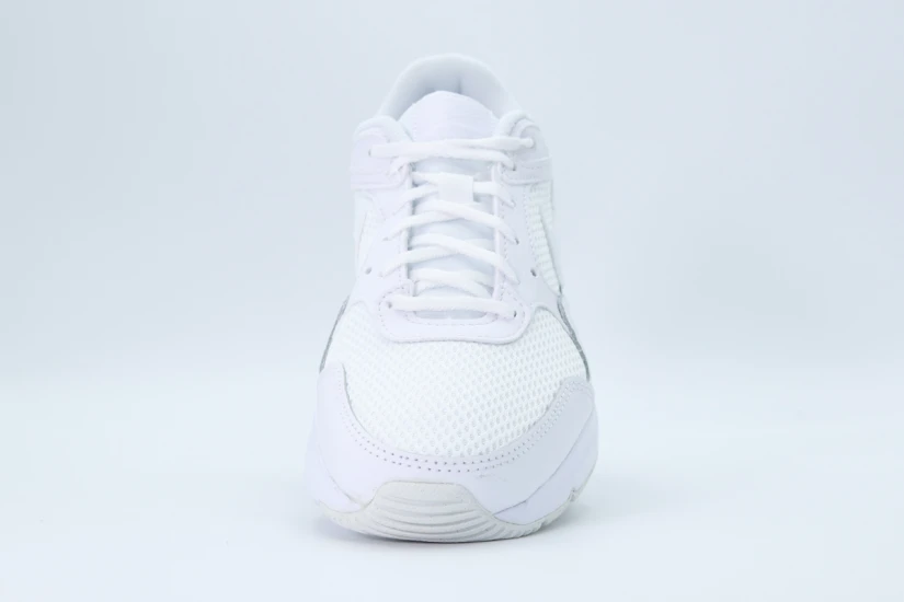 Nike Air Max SC Sneakers