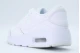 Nike Air Max SC Sneakers